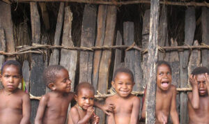 Papua, 20 Kematian Dari 1.000 Kelahiran Papua, 20 Kematian Dari 1.000 Kelahiran