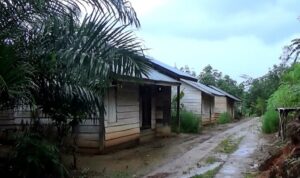 Papua Tolak Program Transmigrasi di Papua Papua Tolak Program Transmigrasi di Papua